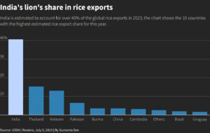 india bans rice export after sugar this year