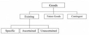 Sale of goods (TYpes of goods)