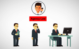 Agency of law