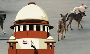 Supreme court order stray dogs
