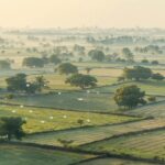 Rural market research in India