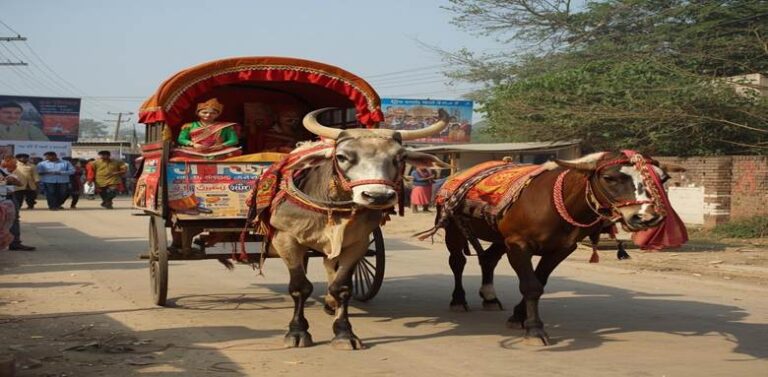 Traditional rural Media