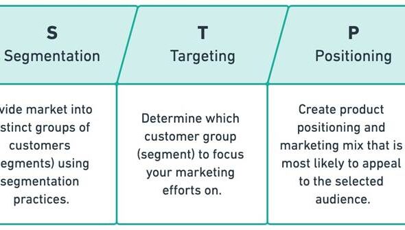 Marketing plan of the client